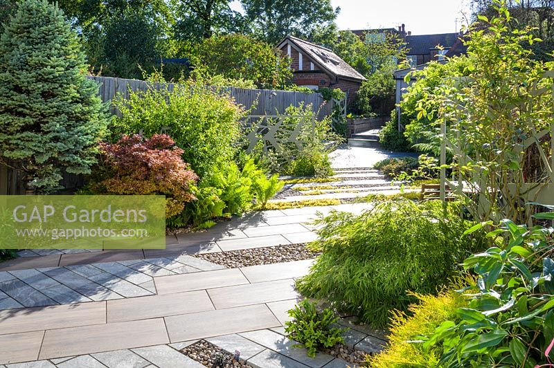 Jardin moderne avec Acer, fougères et arbustes dans le nord de Londres par Earth Designs.