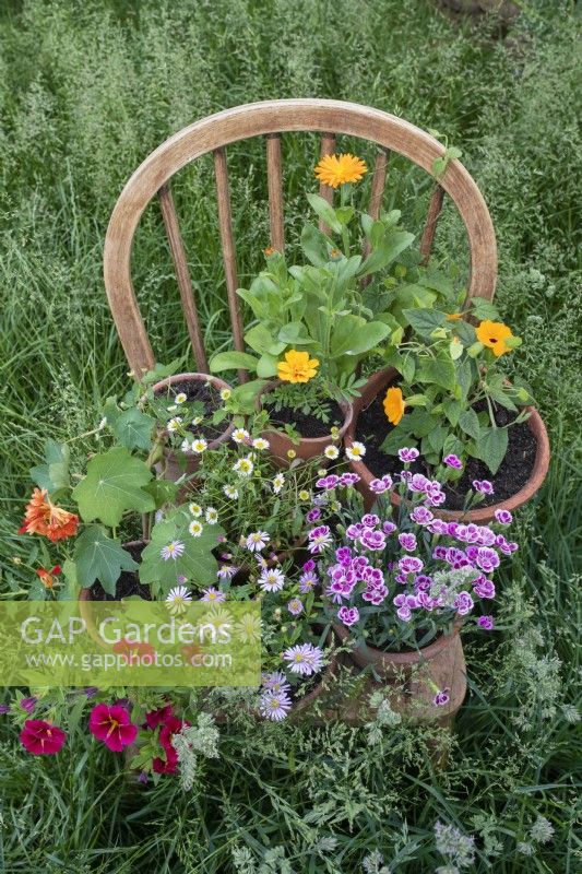 Pots de fleurs sur une chaise en bois dans l'herbe haute