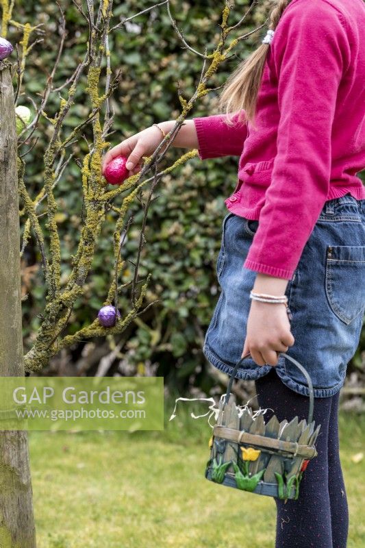 Enfant recueillant un oeuf en chocolat rose d'un arbre à Pâques