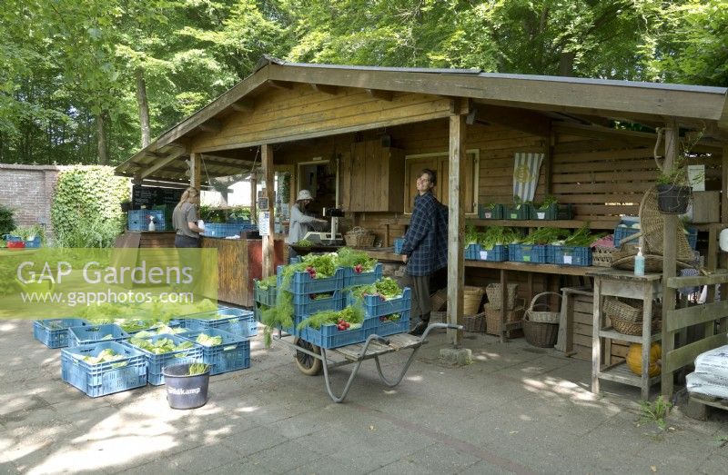 Bénévoles travaillant dans la boutique avec des caisses remplies de légumes frais.