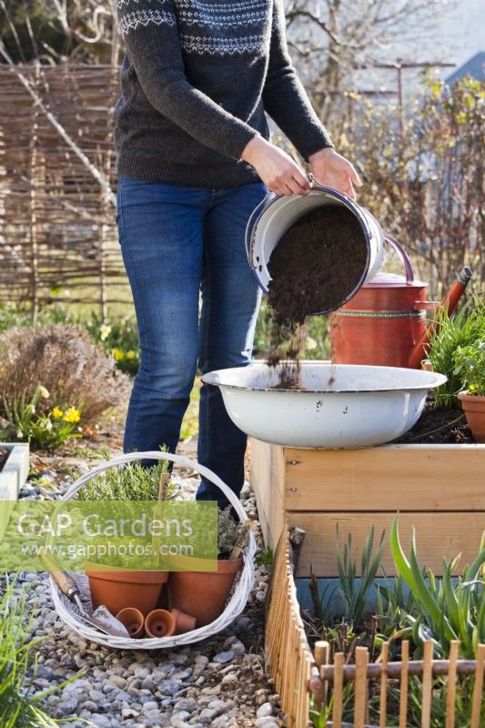 Planter des herbes dans un bol métallique. Ajout de compost.