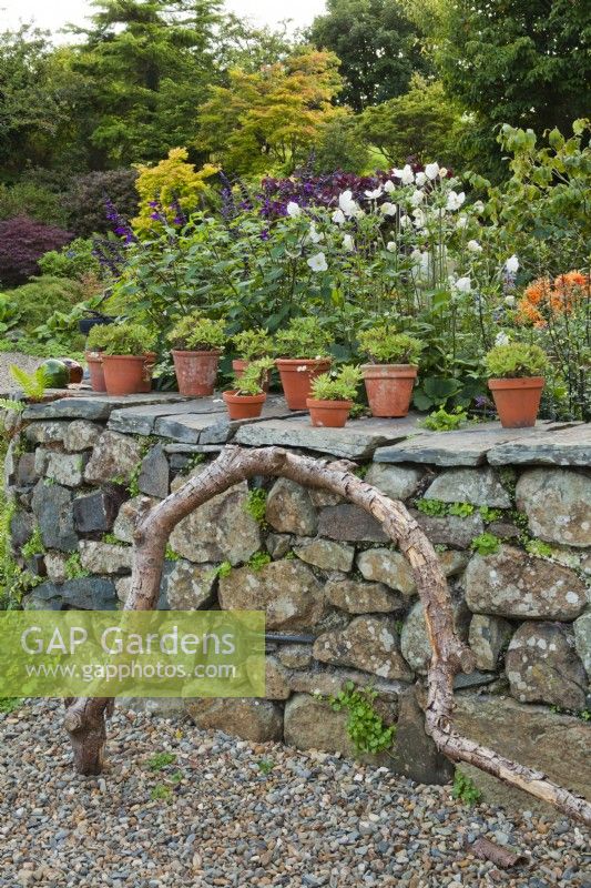 Mur de pierres sèches dans un jardin avec plantes grasses dans des pots en terre cuite, bois flotté et gravier en premier plan.