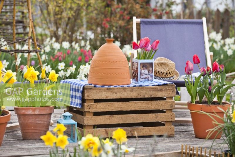 Pots de printemps avec jonquilles et tulipes sur un petit patio.