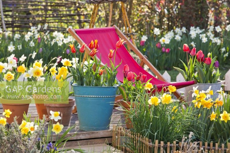 Chaise longue en bois sur le patio avec des pots de fleurs de printemps.