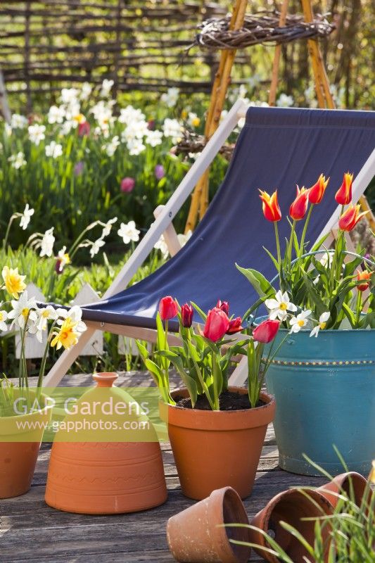 Des pots de fleurs printanières et une chaise longue en bois sur un patio.