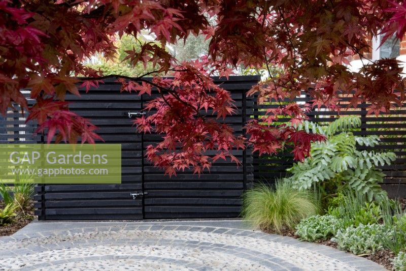 Magasin Bin devant jardin avec chemin circulaire sous Acer palmatum,