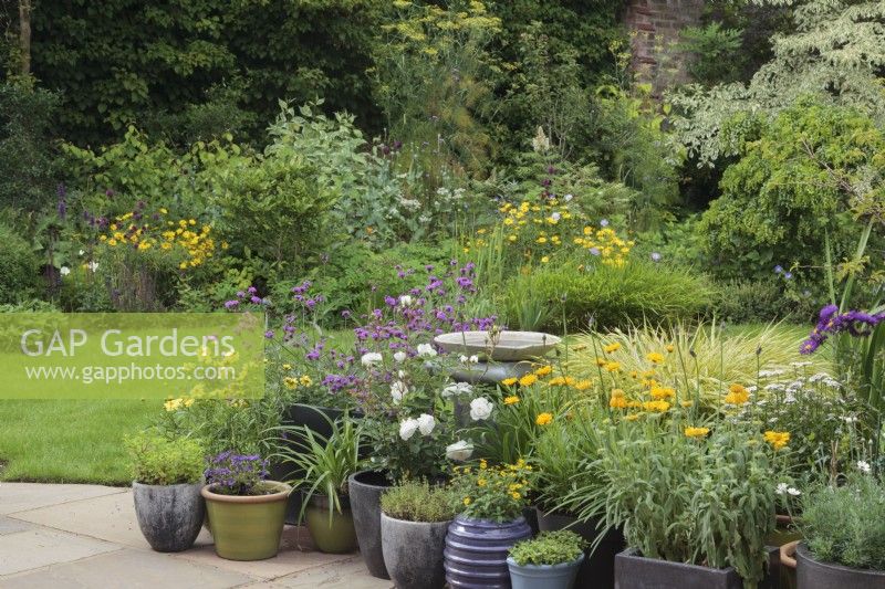 Une collection de pots de jardin sur terrasse - juillet