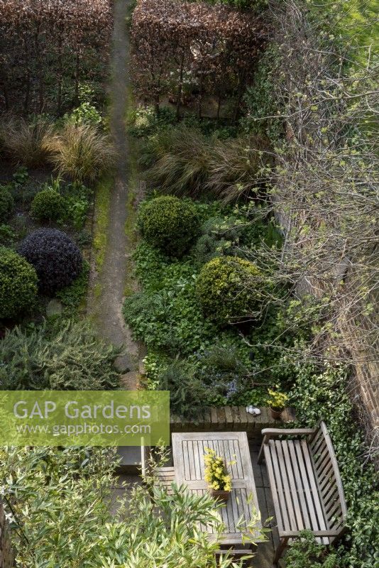 Regardant vers le bas dans le jardin étroit de Loftus Road, sur la terrasse près de la maison. Les plantes comprennent : Buxus sempervirens, Pittosporum 'Tom Thumb', Anemanthele lessoniana et Fagus sylvatica.
