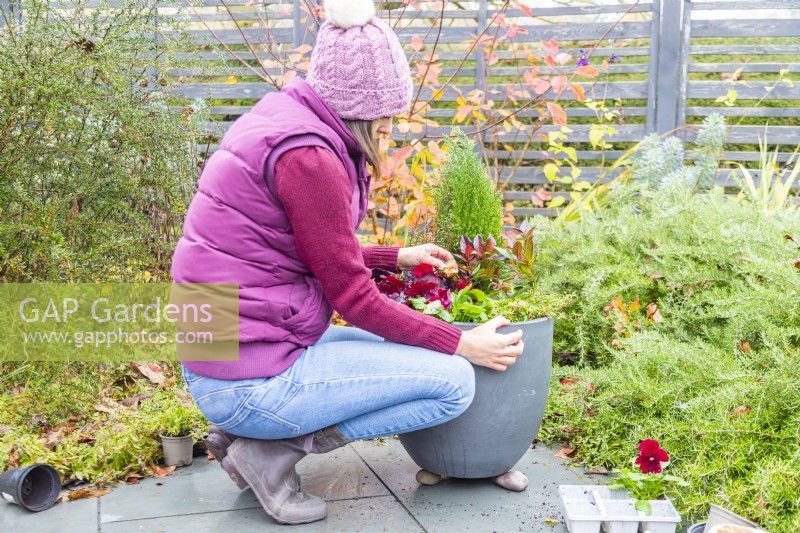 Femme plantant des bulbes entre les plantes dans le pot