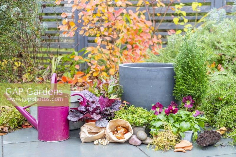 Arrosoir, grand pot, bulbes, plantes, mousse, cailloux, vaisselle et cuillère à compost disposée au sol