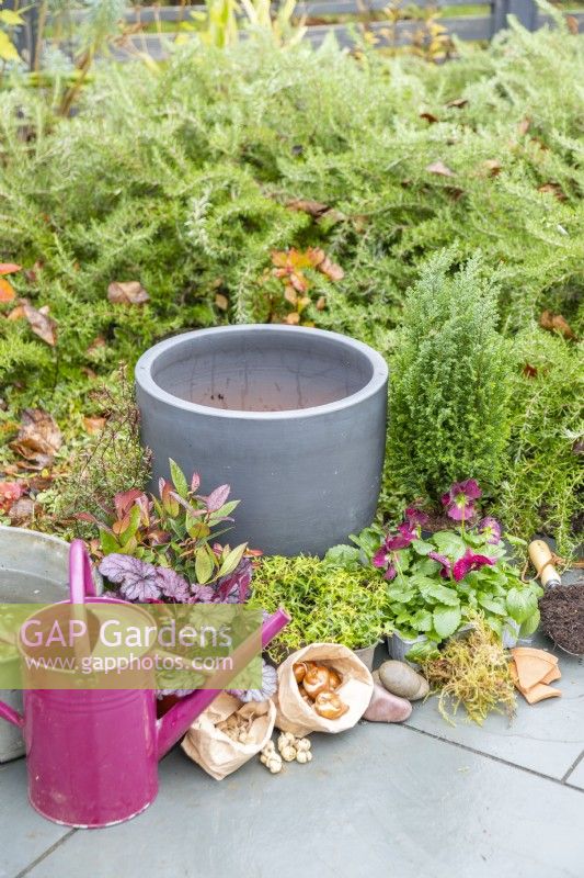 Arrosoir, grand pot, bulbes, plantes, mousse, cailloux, vaisselle et cuillère à compost disposée au sol