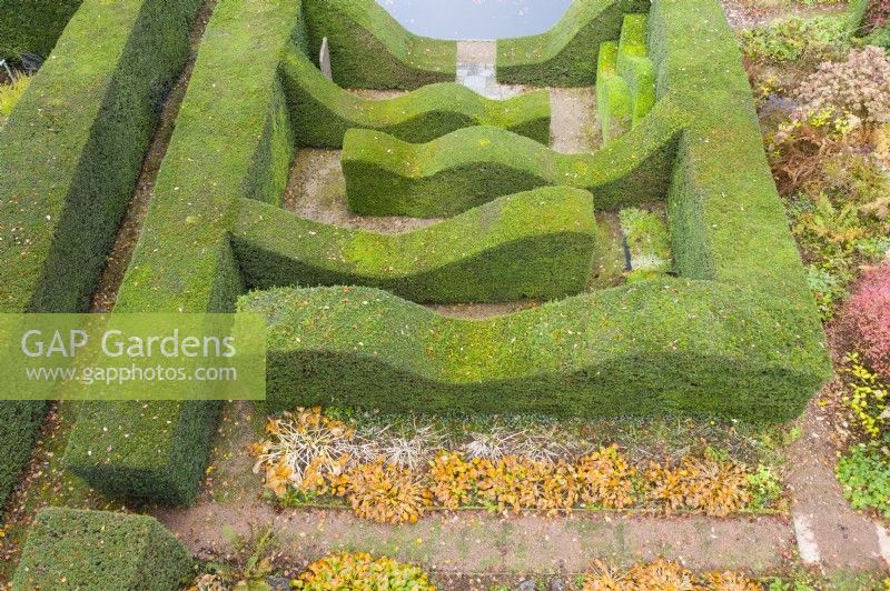 Haies matures d'ifs contenant une pièce de jardin d'ifs taillés en forme d'onde créant un labyrinthe ; image prise avec un drone. Novembre. Automne.