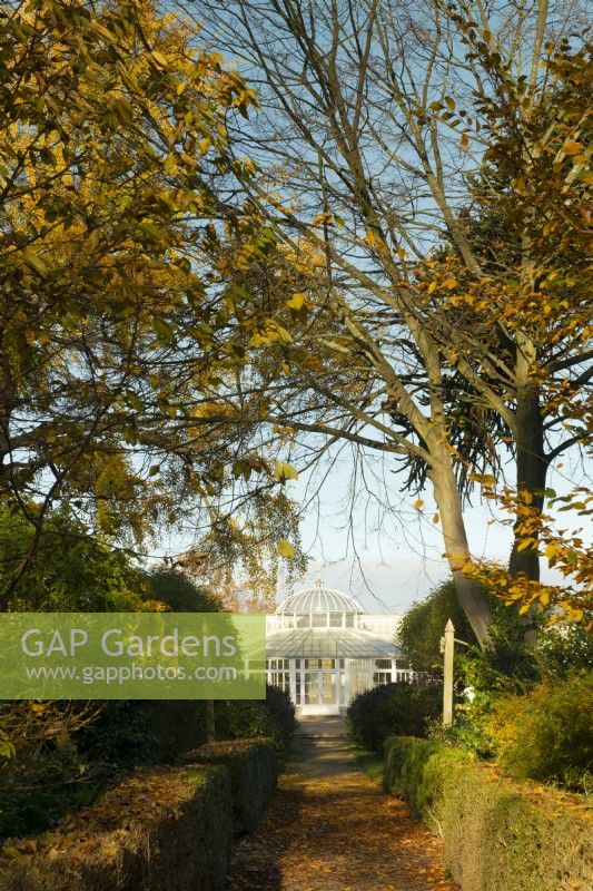 Feuillage d'automne entourant un chemin menant à la véranda de Chiswick House and Garden.