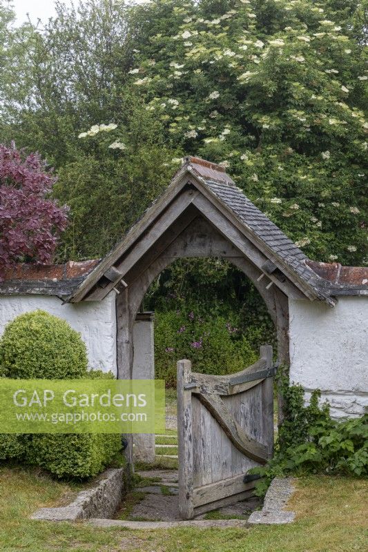 Belle porte d'entrée avec porche dans le vieux jardin de cottage à Cornwall