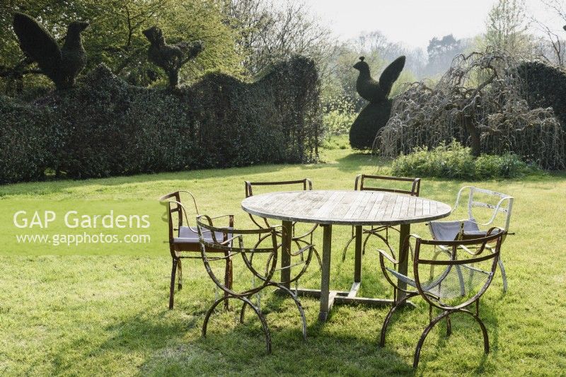 Table et chaises sur la pelouse de Balmoral Cottage, Kent en avril, encadrées par des oiseaux topiaires émergeant du haut des haies environnantes de buis et d'ifs.