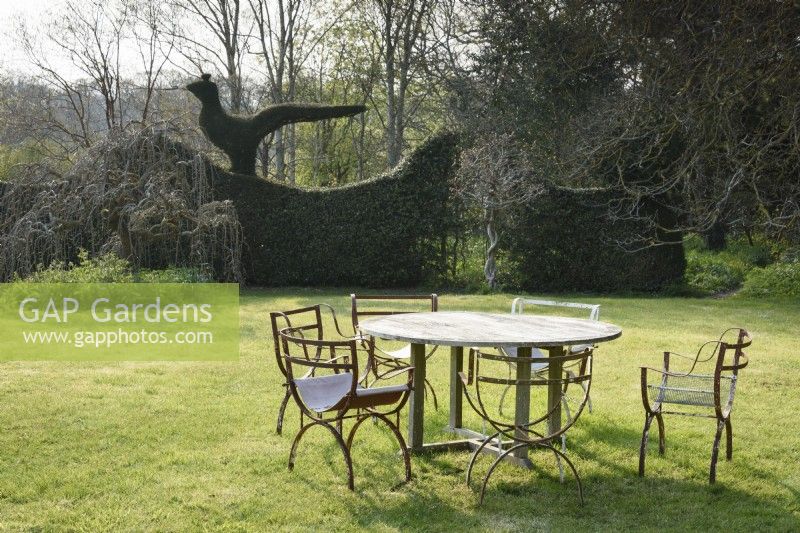Table et chaises sur la pelouse de Balmoral Cottage, Kent en avril, encadrées par des oiseaux topiaires émergeant du haut des haies environnantes de buis et d'ifs, et une glycine standard.