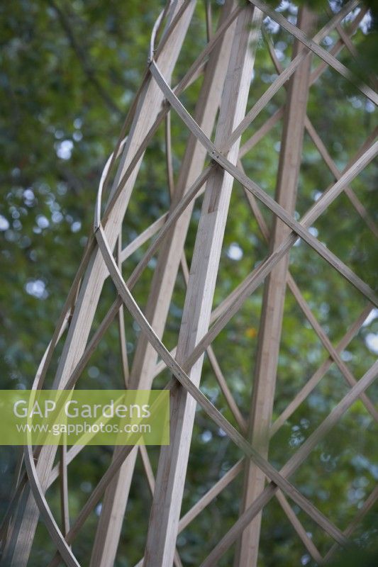 Geodesic Structure. Detail of lattice-work structure made from bamboo, Phyllostachys edulis.