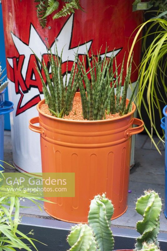 Une petite cour de ville inspirée du Pop Art et du Street Art, avec des poubelles de cuisine colorées et détournées plantées de cactus.