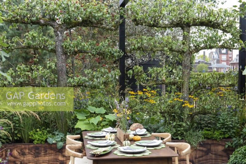 Des poiriers en espalier forment un écran autour de boîtes de produits comestibles et de plantes vivaces dans une salle à manger extérieure.