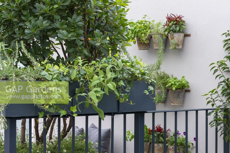 Le long des balustrades d'un jardin de balcon se trouvent des jardinières d'herbes remplies de romarin, de lierre et de sauge.