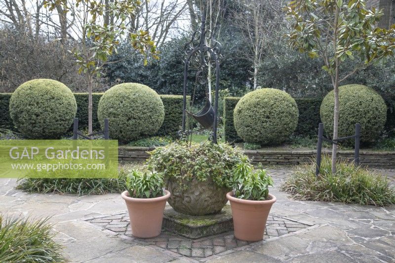 Cour avec boules topiaires au Winterbourne Botanic Garden
