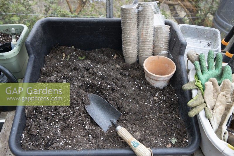 Une table de rempotage dans une serre est prête avec du compost, des pots de plantes écologiques et une truelle. Les gants de jardinage sont rangés sur le côté.