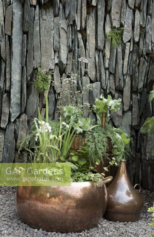Jardinières en cuivre récupérées avec plantations aquatiques et indigènes écossaises dans un cadre en ardoise