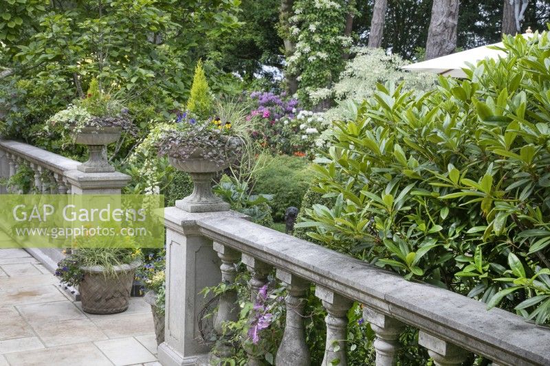 Balustrade avec urnes plantées sur la terrasse du jardin de Hamilton House en mai