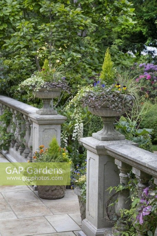 Balustrade avec urnes plantées sur la terrasse du jardin de Hamilton House en mai
