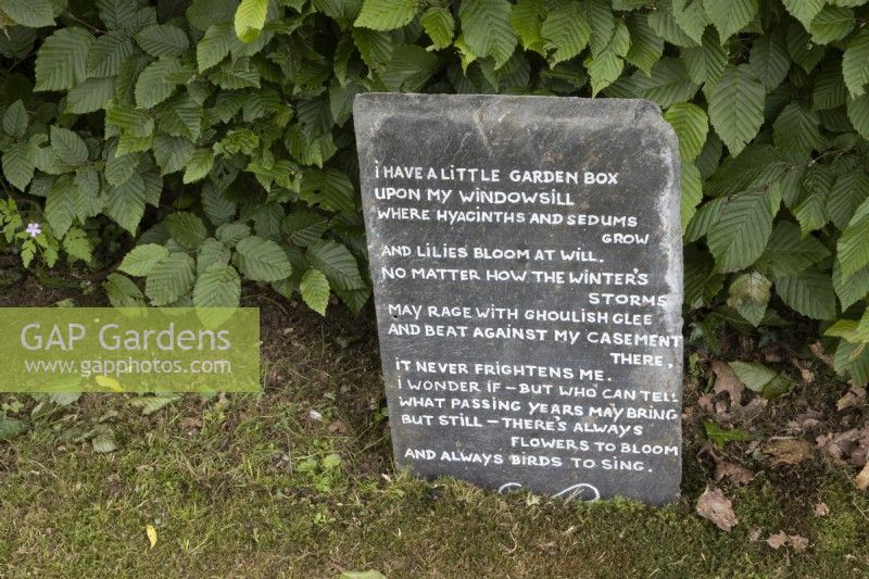 Une ardoise recyclée porte une citation sur le jardinage et est affichée à côté d'une haie de hêtres. Lewis Cottage, jardin NGS Devon. Le printemps.