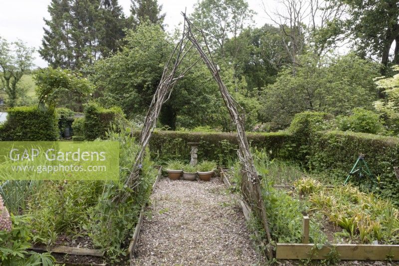 Une arche rustique faite maison soutenant des pois de senteur sur un chemin de gravier à côté de parterres de fleurs surélevés. Lewis Cottage, jardin NGS Devon. Le printemps.