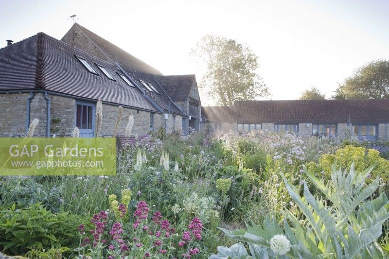 Grêlon grange, Gloucestershire, jardin de gravier avec plantation de vivaces fin mai.