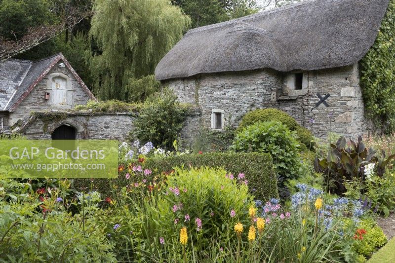 Plantation de style cottage avec de vieilles granges en pierre en arrière-plan. La maison du jardin, Yelverton, Devon. Été.