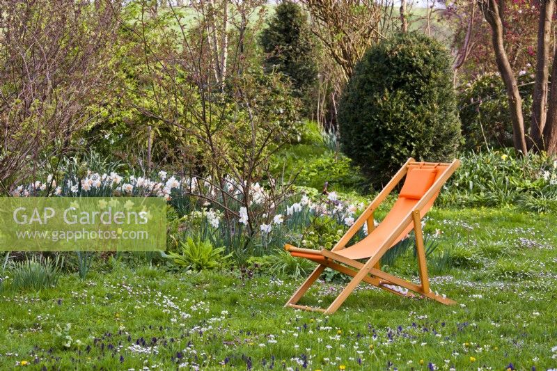 Prairie de fleurs sauvages, jonquilles et chaise longue en bois d'oranger dans le jardin de printemps.