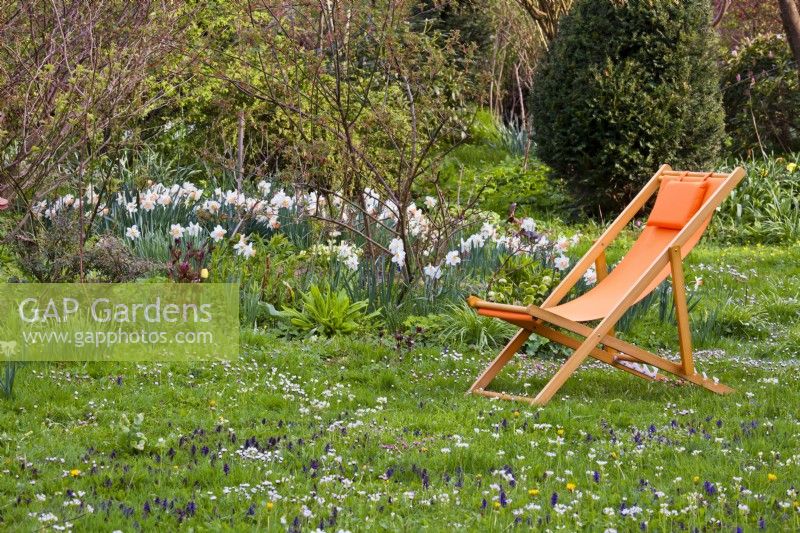 Prairie de fleurs sauvages, jonquilles et chaise longue en bois d'oranger dans le jardin de printemps.