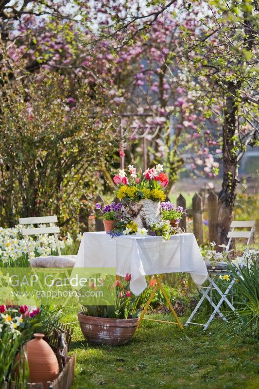 Arrangement de fleurs printanières avec tulipes, jonquilles et pensées sur la table.