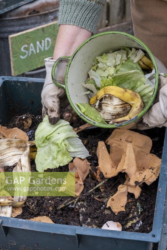 Un lombricomposteur dans un jardin. Ajout de déchets alimentaires végétaux et de carton.