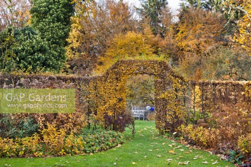 Jardin en novembre avec parterres doubles de vivaces bordés de haies de charmes et un chemin en pelouse menant par arche à l'autre salon de jardin.