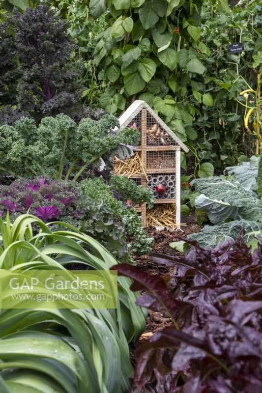 Bug house parmi le chou frisé, les haricots et les poireaux - BBC Gardeners' World Live, Birmingham juin 2022 - 'Marshalls Food for Thought Garden' - designer Jon Wheatley