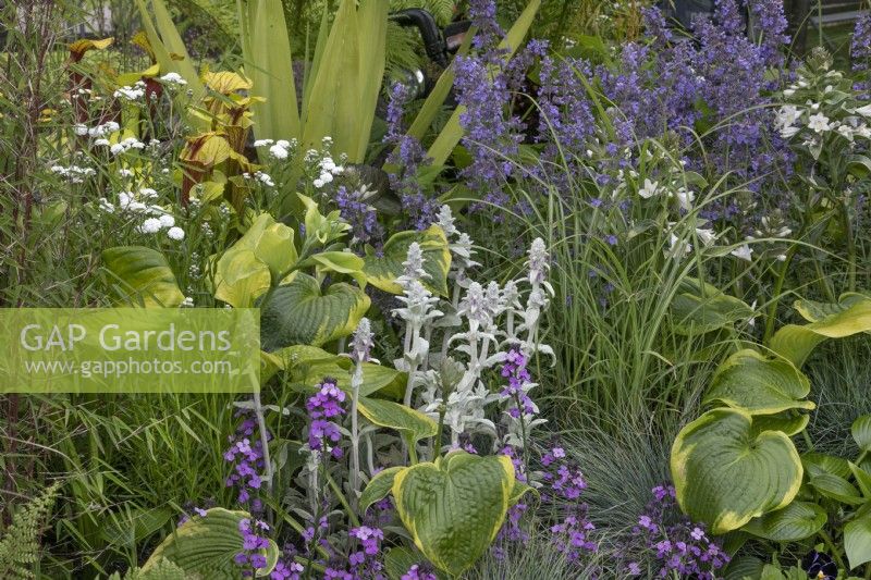 Banlieue équatoriale Beautiful Flowerbed au BBC Gardener's World Live 2022