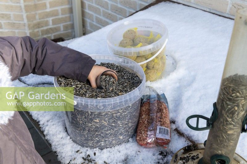 Enfant se préparant à remplir la mangeoire à oiseaux avec des graines de tournesol le jour de la neige en hiver