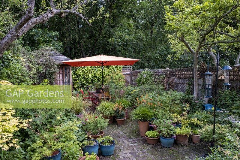 Petit jardin de style cottage de ville construit avec la faune à l'esprit, un grand parasol orange fournit de l'ombre