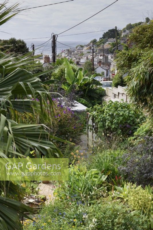 Vue d'une maison dans un village de pêcheurs de Cornouailles avec un jardin plein de plantes exotiques, bénéficiant de la douceur du climat balnéaire.