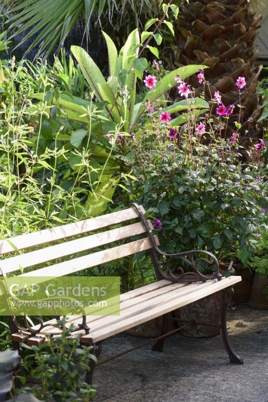 Installez-vous dans un jardin de Cornouailles entouré de plantations luxuriantes, dont des dahlias en août