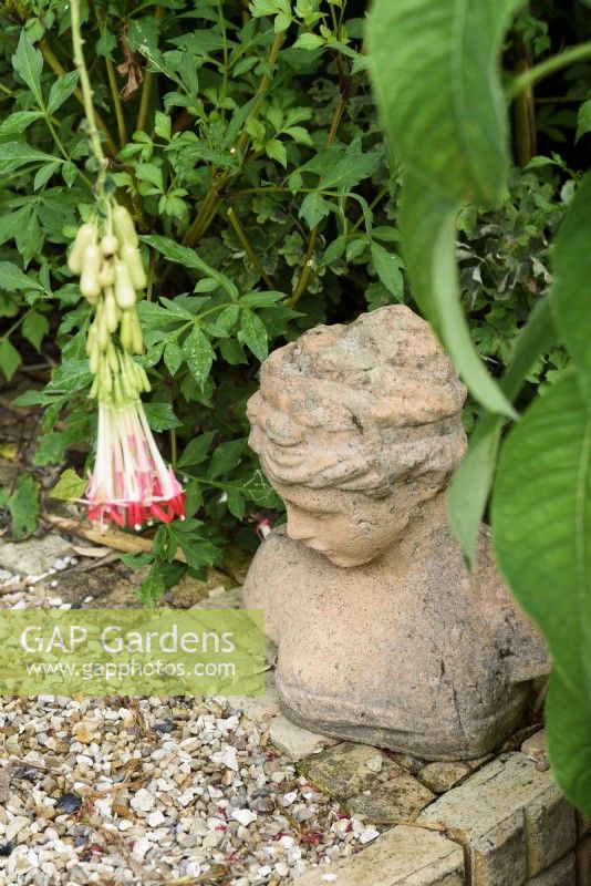 Buste décoratif dans un jardin de Cornouailles de plantes tendres en août