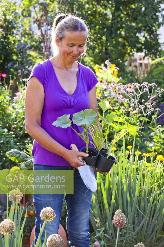 Femme tenant des courgettes cultivées en pot prêtes à être plantées dans un parterre de fleurs.