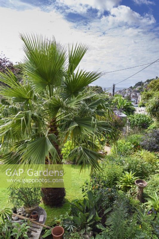 Vue d'une maison dans un village de pêcheurs de Cornouailles avec un jardin plein de plantes exotiques, bénéficiant de la douceur du climat balnéaire.