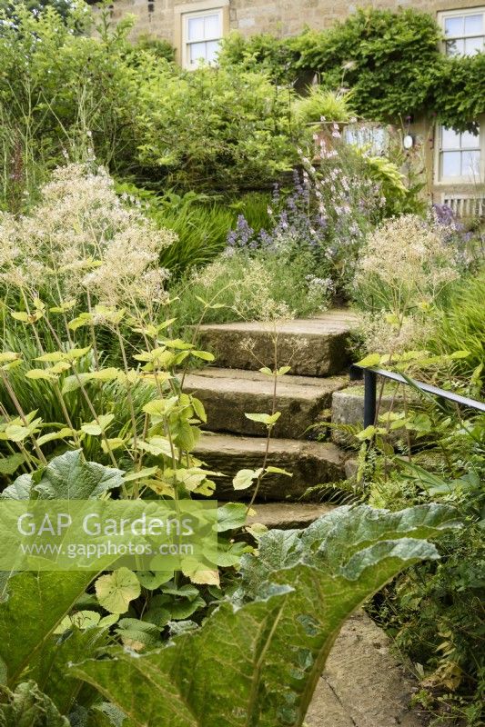 Chemin et étapes menant à travers le jardin à Cow Close Cottage, North Yorkshire en juillet encadrée par des plantes qui aiment l'humidité