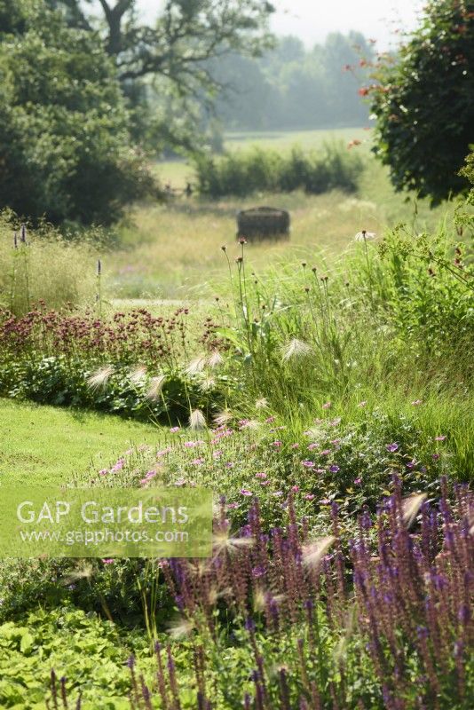 Parterres de fleurs à Cow Close Cottage, North Yorkshire en juillet plantés de roses et de violets, y compris des plantes vivaces herbacées et des graminées avec une prairie de fleurs sauvages au-delà.