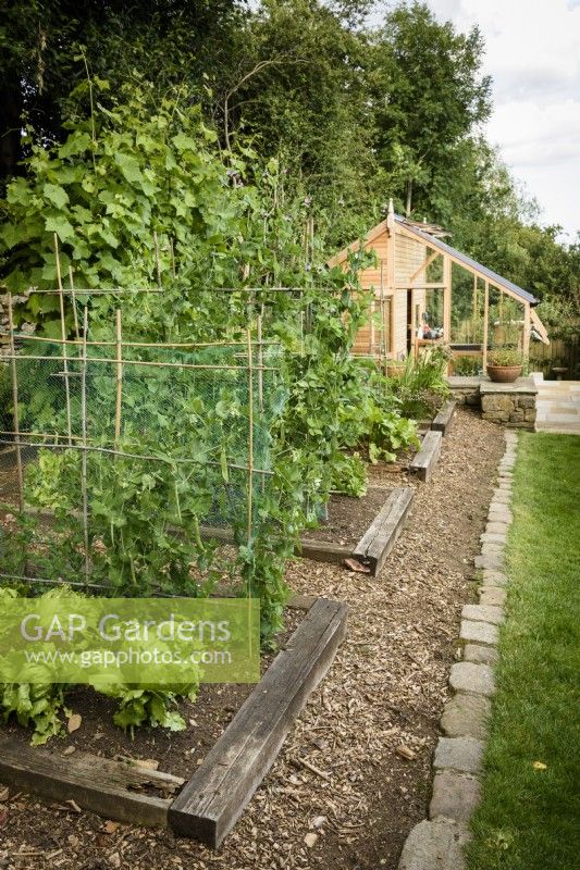 Zone de culture de légumes avec bordures de légumes surélevées bordées de traverses à Cow Close Cottage, North Yorkshire en juillet